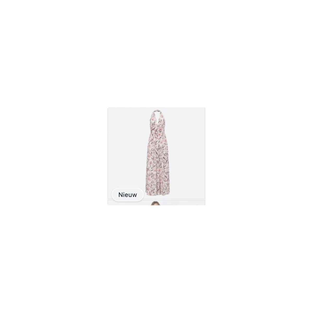 JS-04-ROZE-BLAD
